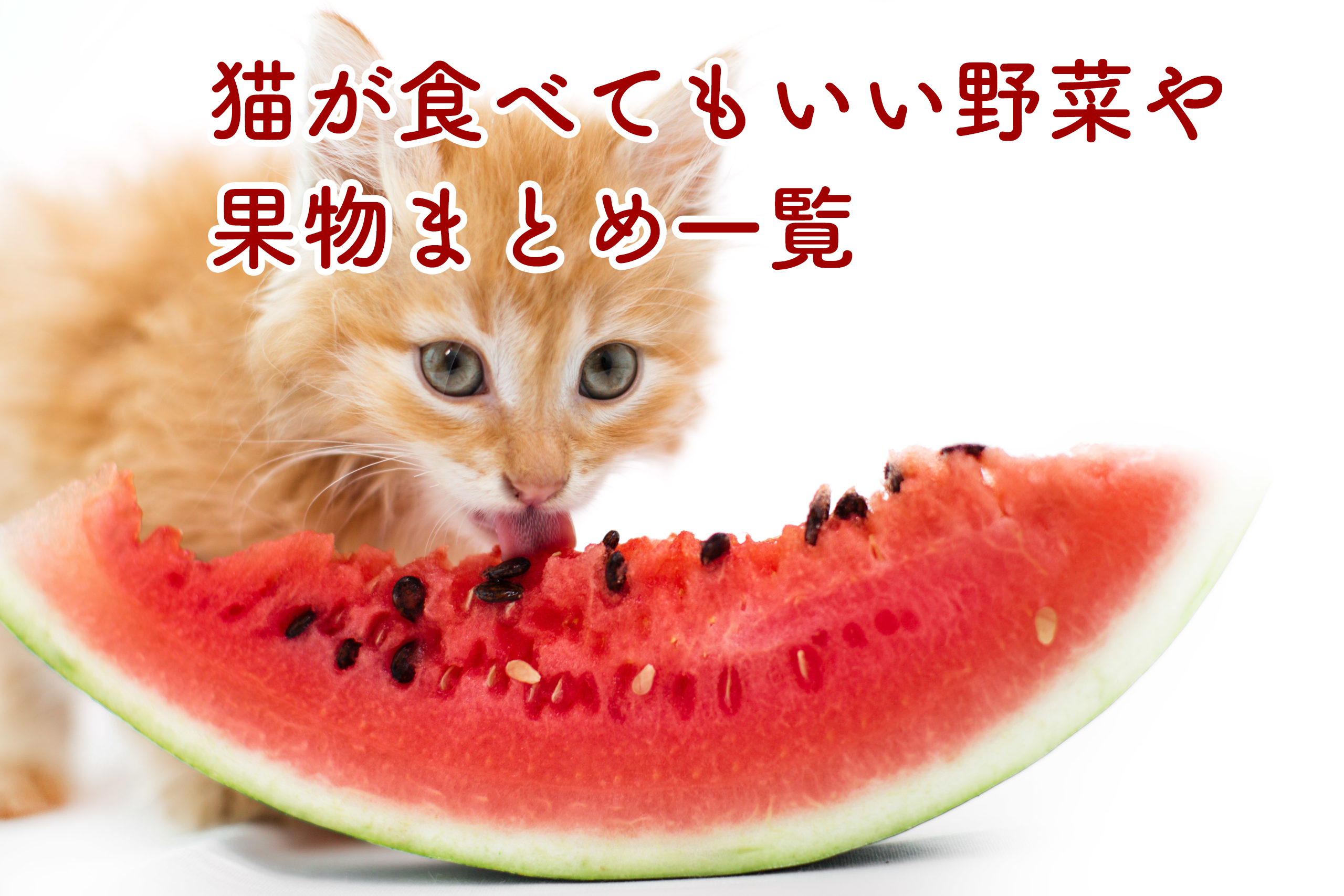 ペットグッズ屋が教える猫が食べてもいい野菜や果物まとめ一覧 カワイイペット Kawaii Pets