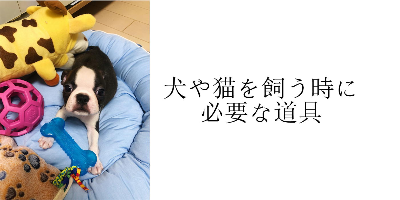 犬や猫を飼う時に必要な道具 The Kawaii Pets 犬や猫を飼う時に必要な道具 The Kawaii Pets